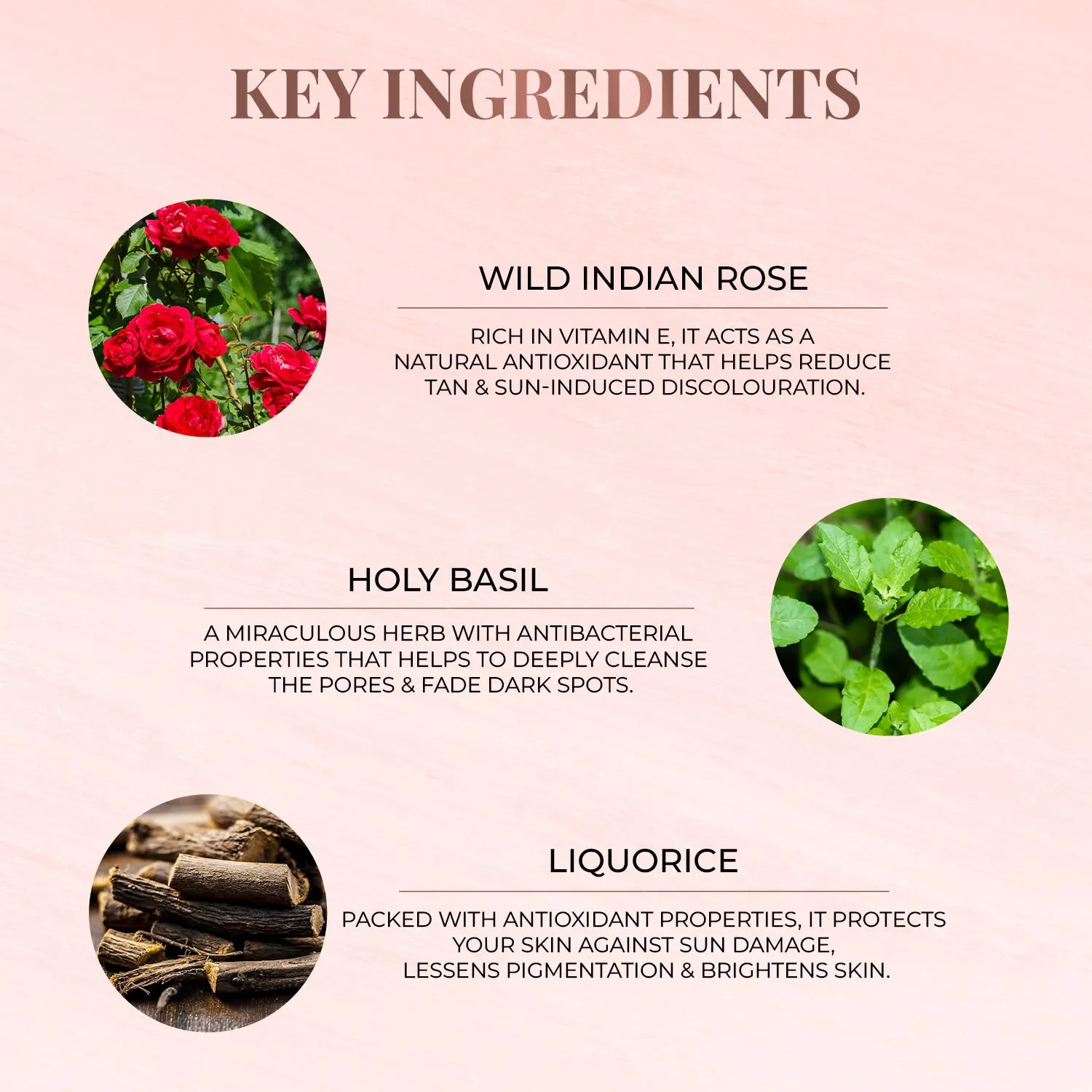 Anti-Tan Face Pack - Wild Indian Rose