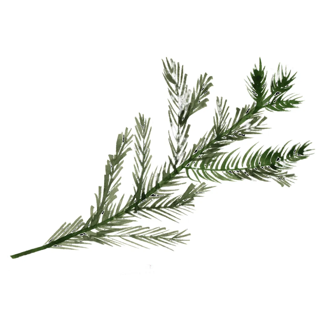 Balsam | Single Note by Wicked Good Perfume