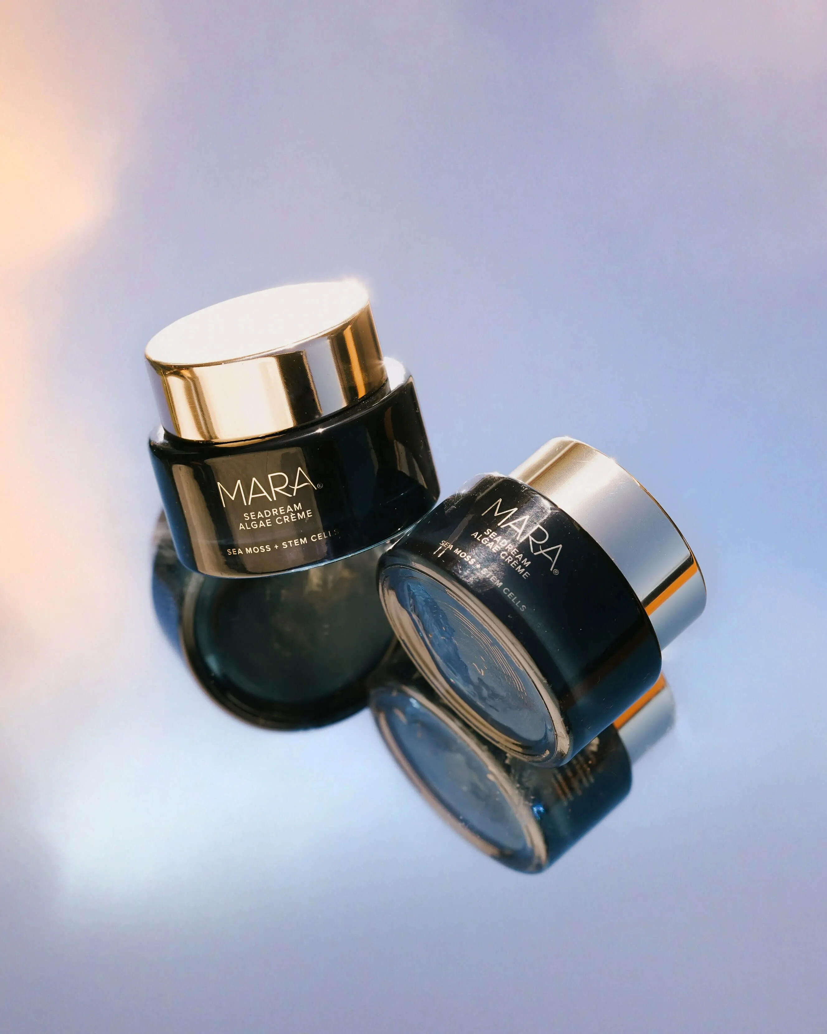 Sea Moss   Stem Cells SeaDream Firming Algae Créme Moisturizer